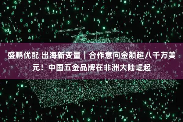 盛鹏优配 出海新变量｜合作意向金额超八千万美元！中国五金品牌在非洲大陆崛起