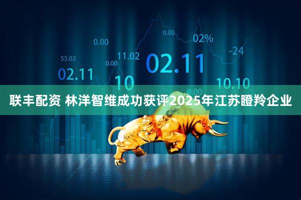 联丰配资 林洋智维成功获评2025年江苏瞪羚企业