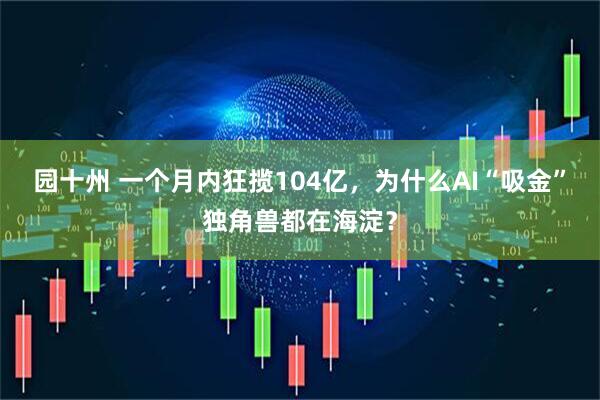 园十州 一个月内狂揽104亿，为什么AI“吸金”独角兽都在海淀？